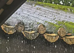 廣州8月或繼續多雨　降水最多330毫米